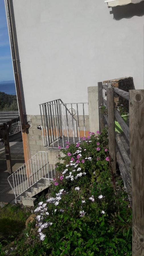 Appartement Giannoni San-Martino-di-Lota Buitenkant foto