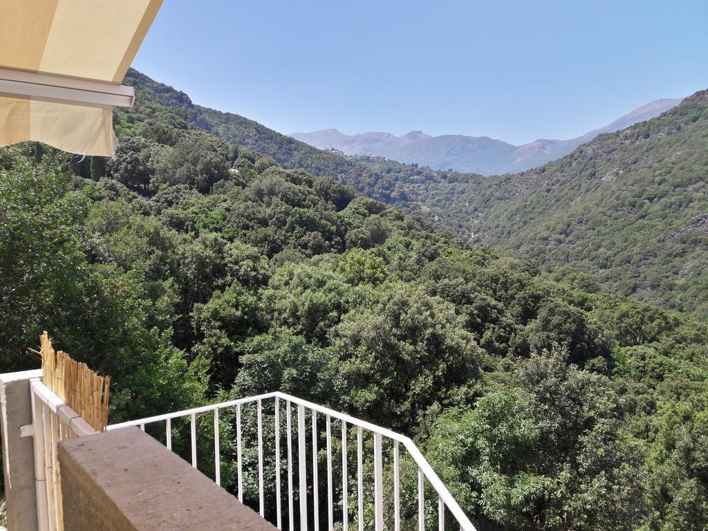 Appartement Giannoni San-Martino-di-Lota Buitenkant foto